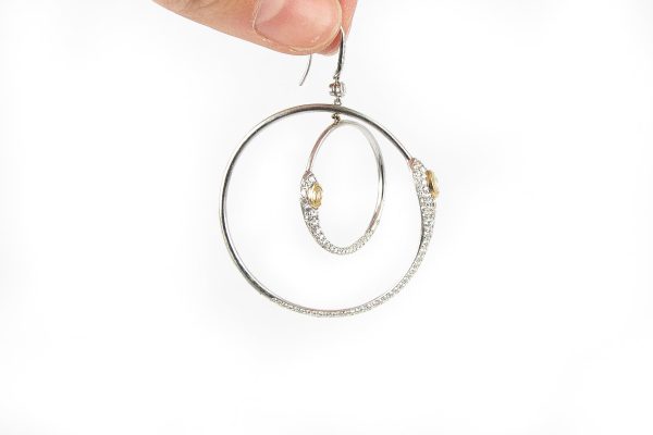 Swinging Circle Earrings Sale