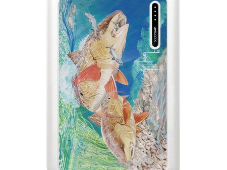 Guy Harvey Power Banks - Red Bulls For Sale