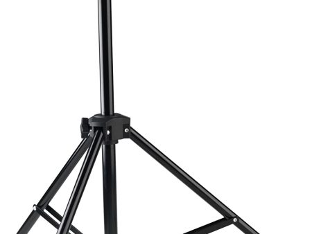 Westcott 750 Photo Basics 6.5-Foot Light Stand For Discount